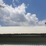 Skylight